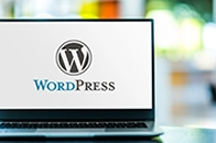Best WordPress Website in Ambala