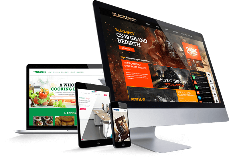 Digital Marketing Services in Ambala